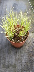 5355c7d3187b9382dd161eddf8b7fec0