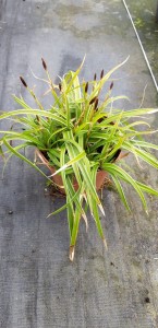 f7dc68a39daa87d1c2a860da8a2573e7