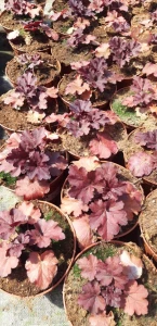 25ebe451cbf038230cb981c509b756e0