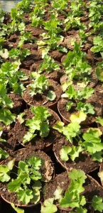 39ab71d34f06941fa71445b9e016ea46