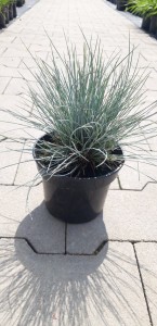 af1ed0d2ebb7223bdf0df06e0fee71c3