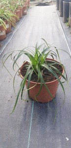 04d0f3d1061acf6b6974c58ec3cb783e