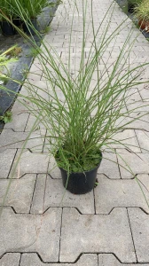 WhatsApp Image 2021-08-30 at 12.44.13.jpeg