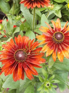 20210702_145310(0).png