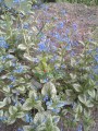 20150501_080646.jpg