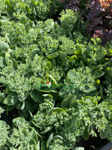 WhatsApp Image 2021-08-26 at 13.04.41 (3).png