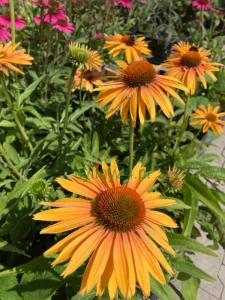 WhatsApp Image 2021-08-26 at 13.04.41 (18) (Copy).png