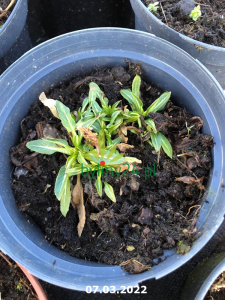 WhatsApp Image 2022-03-07 at 11.09.59 (9).png