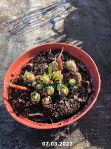 WhatsApp Image 2022-03-07 at 11.11.09 (8).png