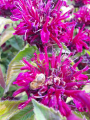 20190731_120650.png