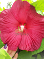 20190821_132653.png