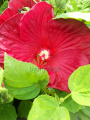20190821_132757.png