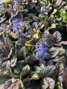 WhatsApp Image 2022-07-19 at 19.37.35 (23).jpeg