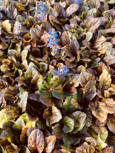 WhatsApp Image 2022-07-19 at 19.37.35 (26).jpeg