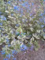 20150501_080543.jpg