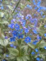 20150501_080613.jpg