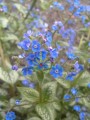 20150501_080622.jpg