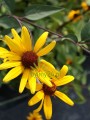 DSC04747.JPG