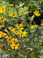DSC04749.JPG