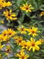 DSC04750.JPG