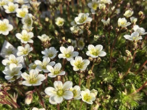 IMG_1563.jpeg
