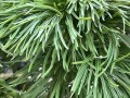 IMG_1633.jpeg